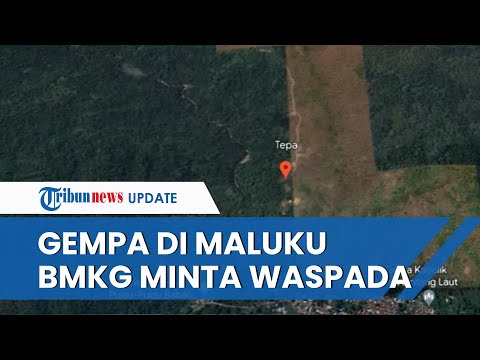 Gempa M 6.0 Guncang Maluku, BMKG Minta Masyarakat Berhati-hati soal Kemungkinan Ada Gempa Susulan