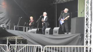 Video thumbnail of "Mike Pender's Searchers "Needles and Pins" Isle of Wight Garlic Festival 2016"