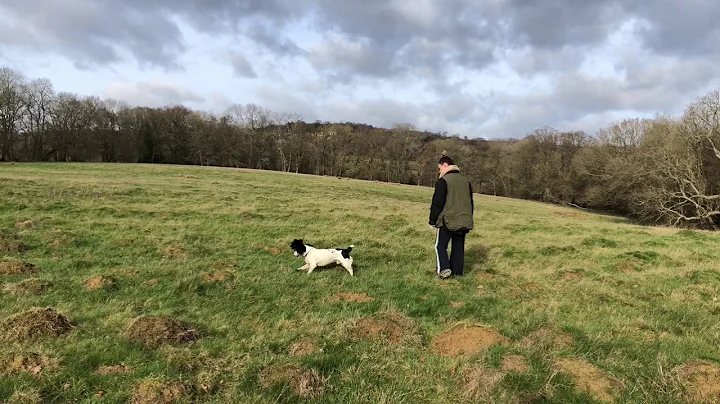 Hunting practice (upload for feedback)