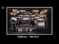 Aldious - We Are (Virtual Drumming Cover)