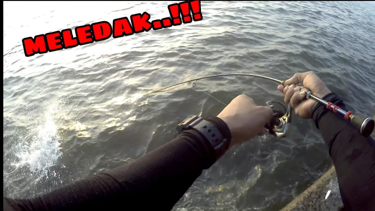 Sangat Beruntung!! MANCING di pinggir laut dapat ikan Besar