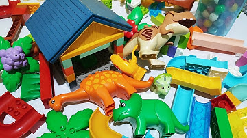 Satisfying Building Blocks ASMR Marble Run - Dinosaurs House and Jungle Course
