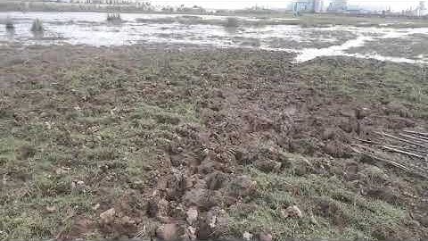 Bán đất mặt tiền ĐT 830 thuộc KCN Nam Tân Tập, huyện Cần Giuộc, tỉnh Long An