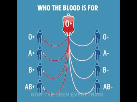 Sơ đồ truyền máu sinh học 8 | Sơ Đồ Truyền Máu