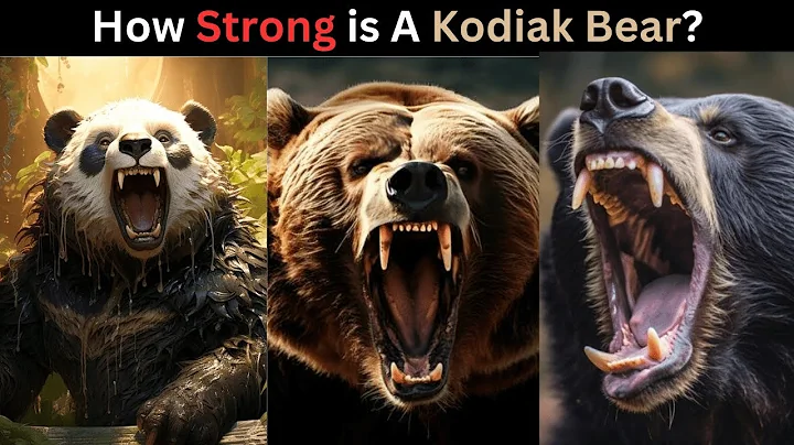 How Strong is a Kodiak Bear Compared to Other Bears