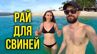 Рай ДЛЯ СВИНЕЙ На САМУИ - Мы в ШОКЕ, Чудо Остров в Таиланде / Нужна Липосакция, Берем КРЕДИТ? 🔥