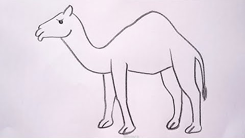 how to draw camel drawing easy step by step@DrawingTalent