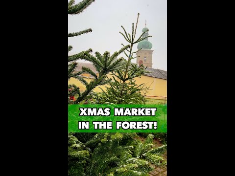 Amberg Germany Christmas Market in the Forest! (Alternativer Weihnachtsmarkt am Mariahilfberg)