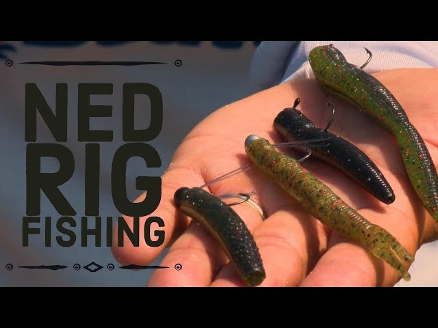 Ned Rig Bass Fishing 