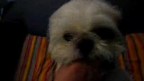 Twinkle playing (Part I)