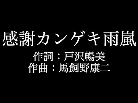 嵐【感謝カンゲキ雨嵐】歌詞付き　full　カラオケ練習用　メロディあり【夢見るカラオケ制作人】