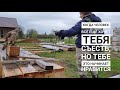 Обучение ястреба-тетеревятника. Этап 8 (день 9). Увеличиваем расстояние прыжков ястреба на перчатку