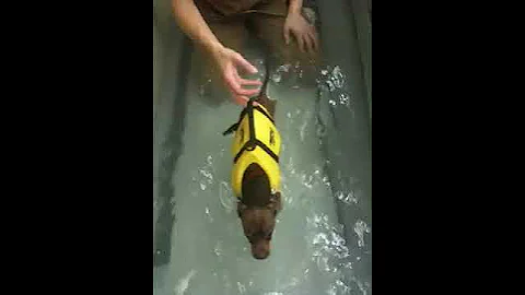 Gio Goes Swimming!