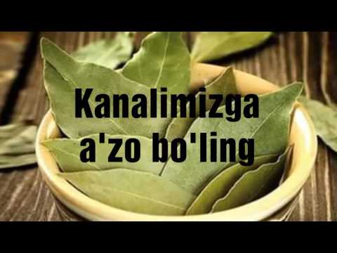 Lavr yaprogining foydali