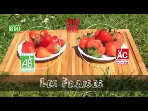 Vidéo: Toutes les fraises sont-elles bio ?