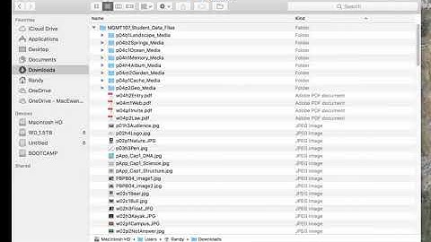 File Management: Mac Part 2
