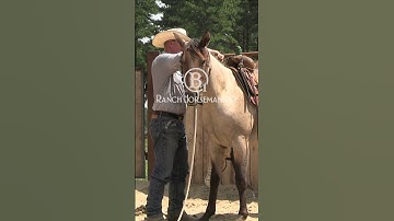 Es20 Colt Starting  Magnolia Day 7 2