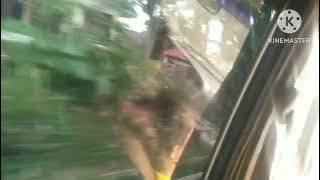 Artis Cilik MCP - Selamat Pagi versi 2024