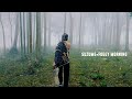 Suzume × Foggy morning | Winter trending Video 📽️#trendingshorts #pixel #shortvideos