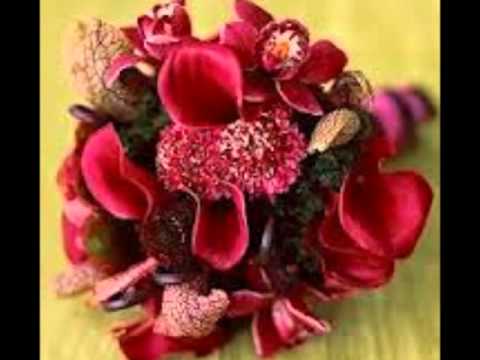 ياشيخ عبدالله