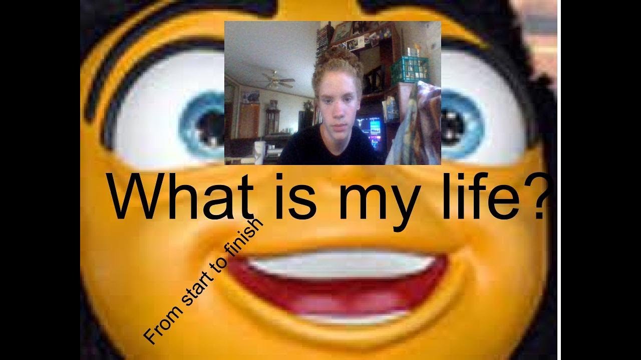 Decided to read the entire bee movie script. I'm back! 