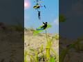 creative photography tutorial#shortvideo #photography #creative #short