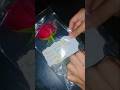 When Your Bestie Surprises You With A Rose 🌹💗#valentinesday