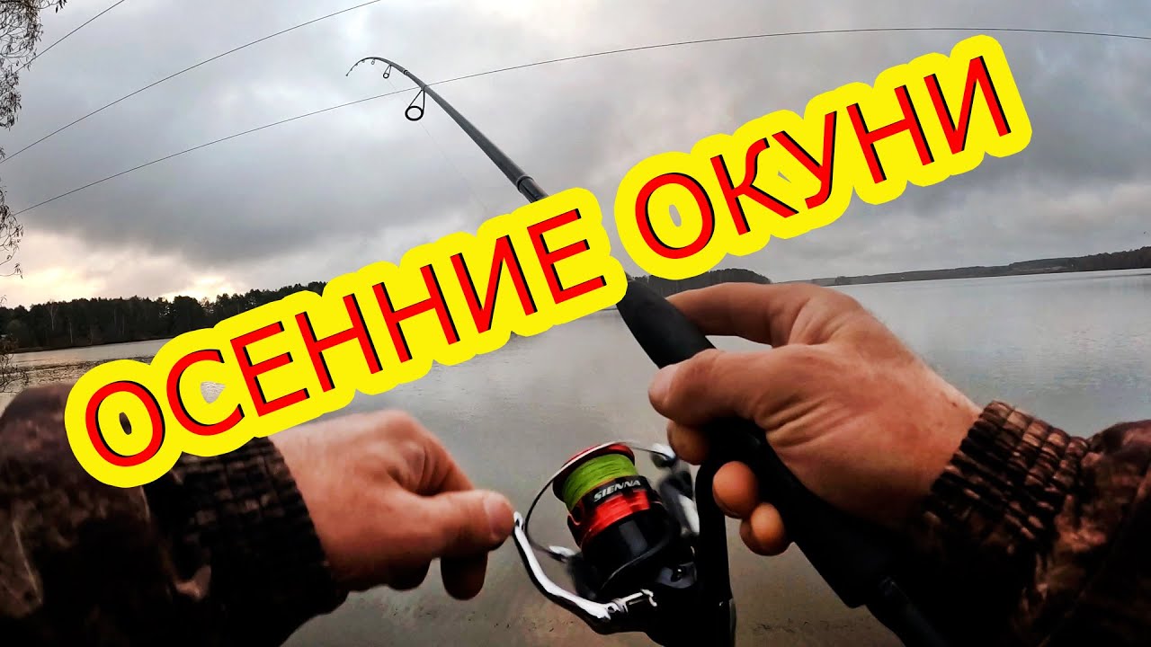 Ловим окуней на отводной поводок и подбираем твистер. Активность окуней ...