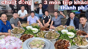 Chuột đồng 3 món ép lá chanh giả cày nướng Lê Toàn Food tiếp khách thành phố