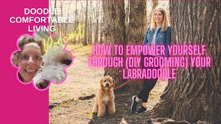 How to empower yourSelf through (DIY grooming) your Labradoodle 1 by Wanda Klomp 35 views 2 months ago 28 minutes