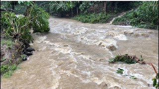 Continúan lloviendo en todo San Francisco de Macorís , río con crecidas en campos de este municipio