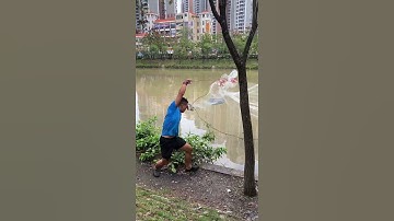 Most Satisfying Cast Net Fishing Video - Traditional Net Catch Fishing in The River Ep