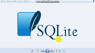 Celebrity Python SQLite3 Tutorial 5   Reading data from a Database Net Worth