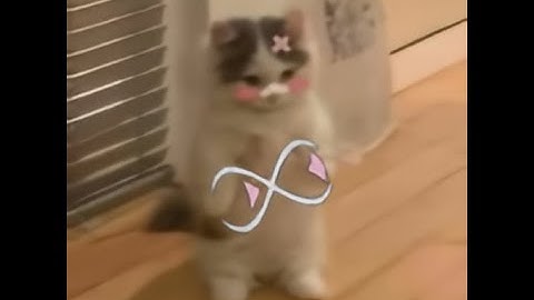 first day with primordial ft.primordial/gamesense/neverlose [4k 60frames]