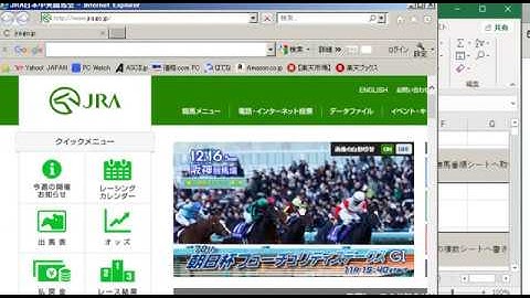 昔のIE操作動画です参考程度に JRA 単勝オッズ 取得 午前中の時刻テスト結果  と IE前面 蛇足のIEスクロール VBA IE操作 デバッグ