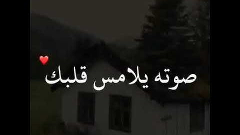 الشيخ وديع اليمني {وتوكل على العزيز الرحيم} حالات واتساب قرآن كريم