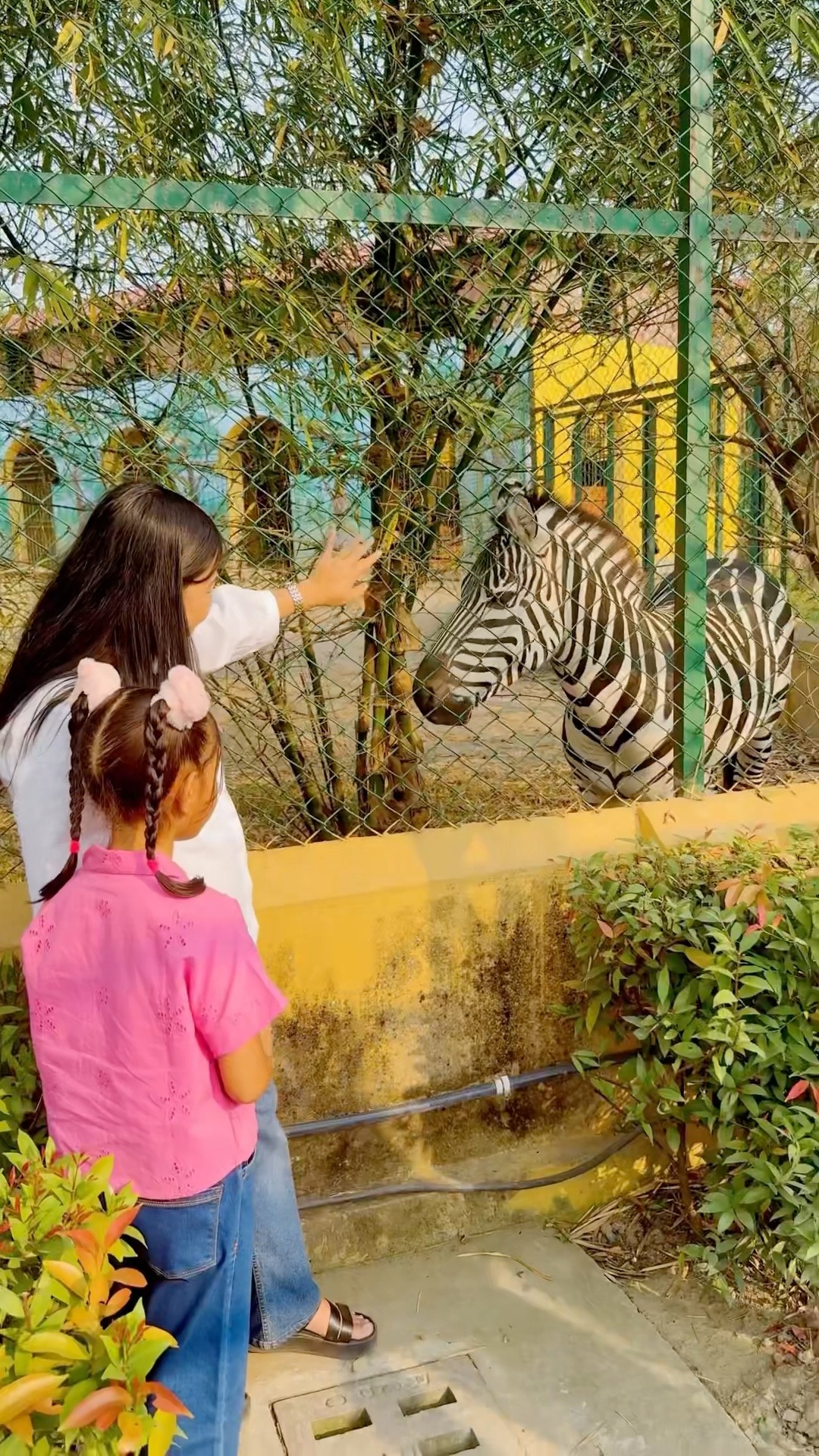 Reedishna Ne Dhaki Zebra