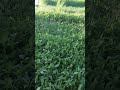 اترك قليلا جموع الناس اترك قليلا جموع الناس