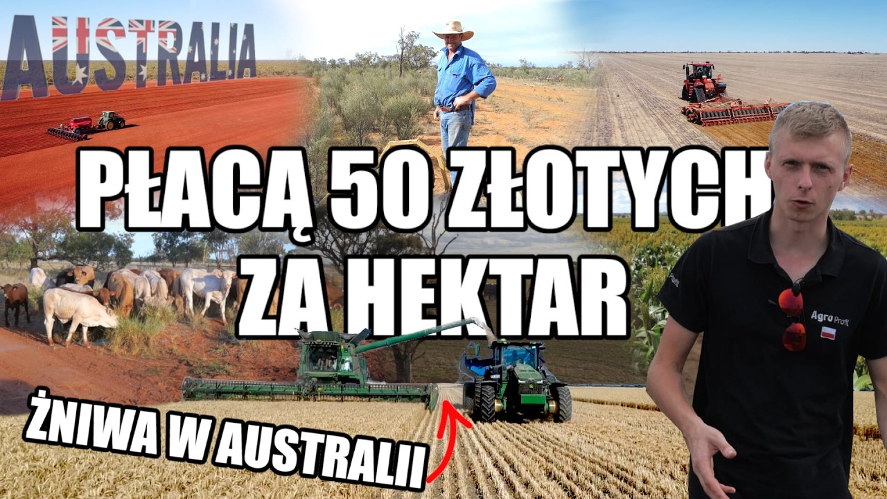 Cała prawda o rolnictwie Australii! Tutaj średni rolnik ma ponad 4000 hektarów. Dlaczego tak dużo?