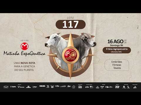LOTE 117 RDM B2497