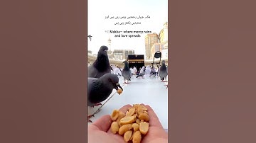 Rehman ya Rahman 🕋🔥🔥🔥⚡❤️#viralshort#love#shortvideo#trendingshorts#shortsfeed#shortsBeautiful