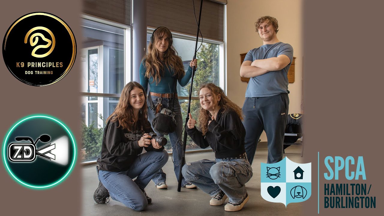 SPCA Foster Training Behind-the-Scenes