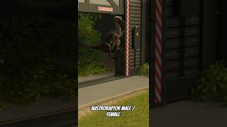 Austroraptor Male / Female ! 🐟 #jurassicworldevolution3