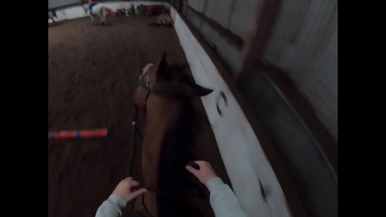 GoPro ride with Fizz! (Read description)