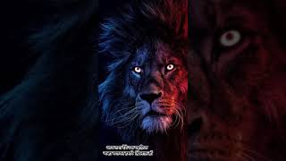 🦁Tigar🦁 👑King👑Status AAG LAGA DENGE USE MAHAFIL ME JANHA BAGAVAT HAMRE KHILAF HO