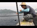 カンパチ養殖イケスの外側にカメラ落としてみた