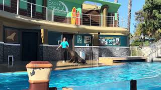 The new sea lion show Clyde and Seamore at Sea World San Diego , summer 2023