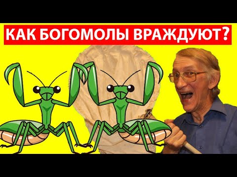 Video: Качан Бүбү Мариямдын божомолу 2021 -ж