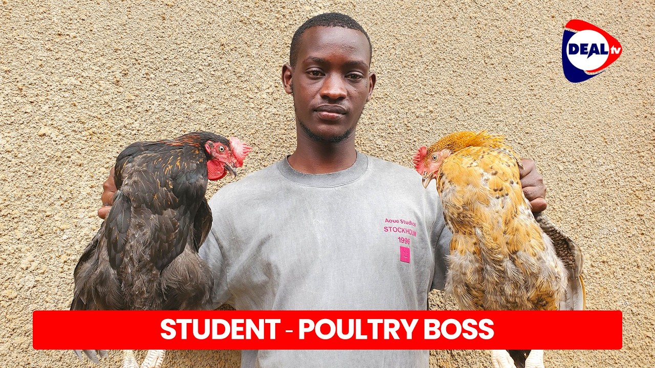 From Computer Science to Local Chicken Millionaire 🐔💻 | Student Makes Money in Uganda