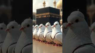 Allah humma sallay #tiktok#youtubeshorts#islamicstatus#shortsvideo#shorts#freepalestine